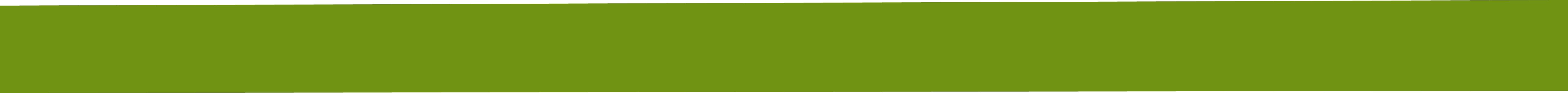 Decorative grass