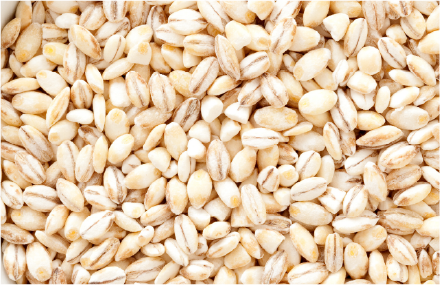 Barley
