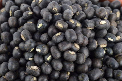 Black gram