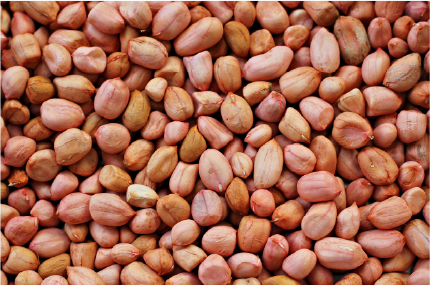 Groundnuts