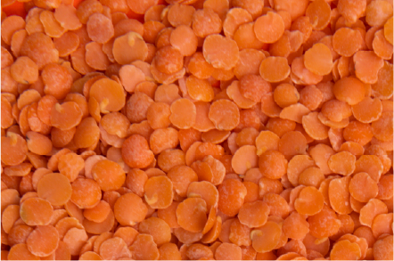 Red lentils