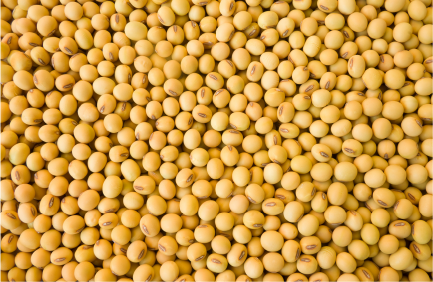 Soya beans